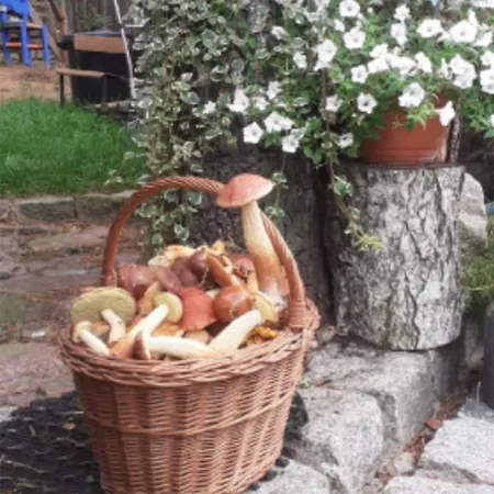 Stas Rogalewo Sielanka Na Odludziu Сasa de vacaciones *