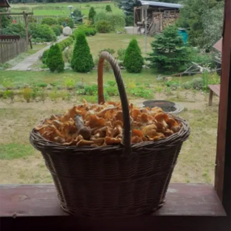 Сasa de vacaciones Stas Rogalewo Sielanka Na Odludziu
